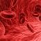 How sickle cell disease quietly impacts childhood in India – Firstpost