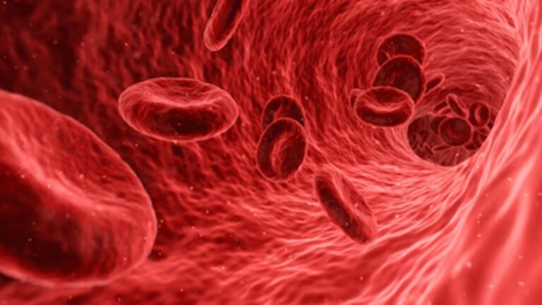 How sickle cell disease quietly impacts childhood in India – Firstpost