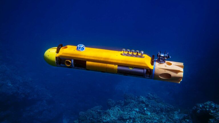 You won’t believe what underwater robots found: Vibrant marine world hidden from humans until now, finally captured
