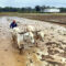 Investment of USD 75 bn needed for Indian farmers to adapt to climate change impact: IFAD President, ETCFO
