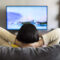 TV Broadcasters Push for Separate Tariffs Against Unfair Pricing, ETCFO